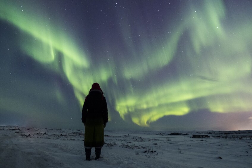 Northern Lights Hunt Tour