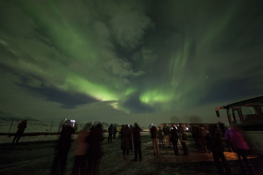 Group viewing of the Northern Lights in Reykjavík