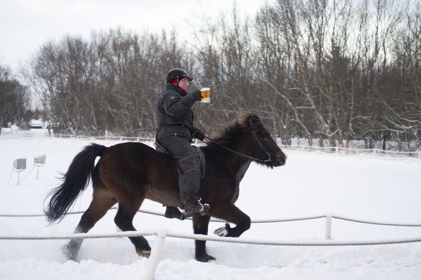 Small Group Golden Circle Tour & Horse Visit