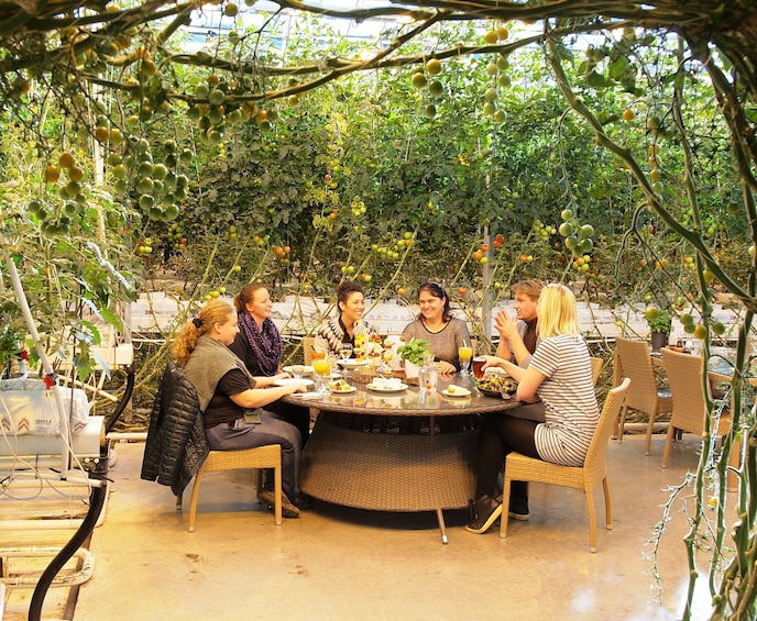 Small Group Golden Circle Tour & Horse Visit
