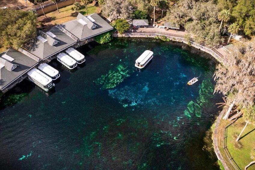 Clear Paddle Board Tour of Silver Springs