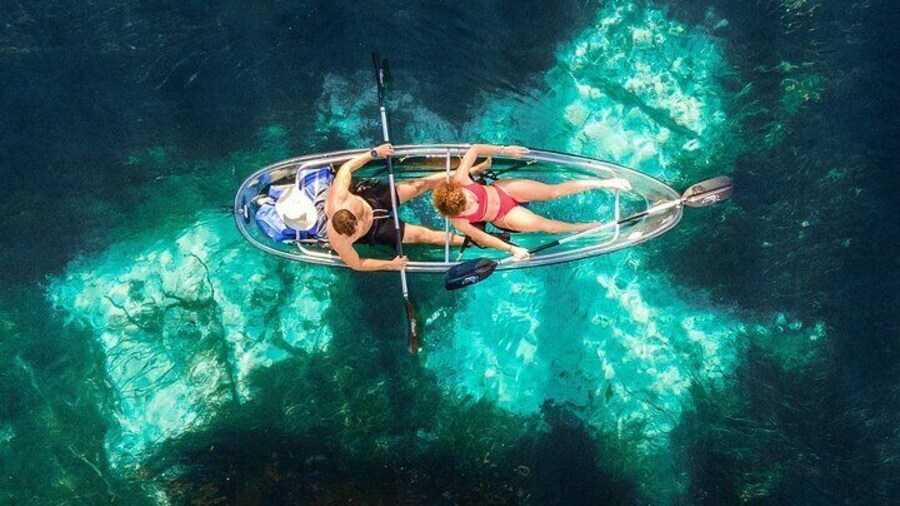 Silver Springs: Clear Kayak Wildlife Adventure