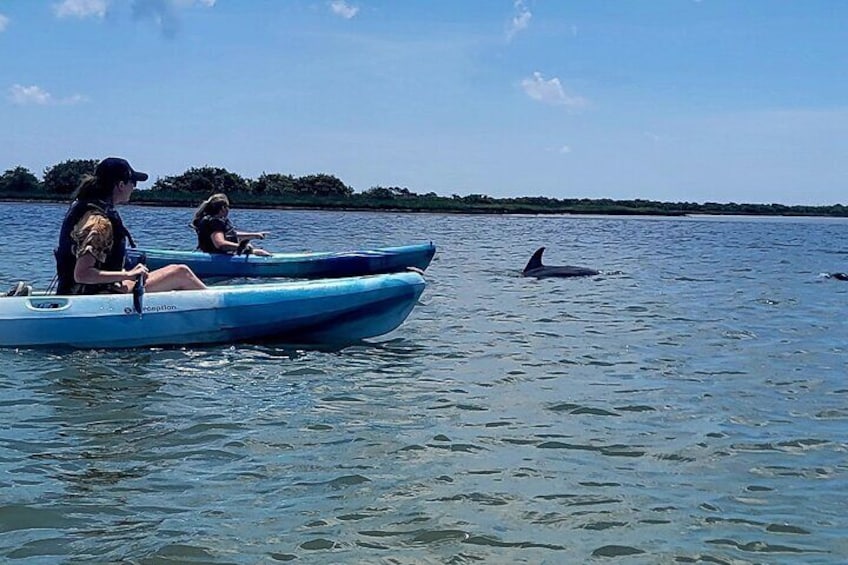 Salt Run Dolphin Kayak Tour