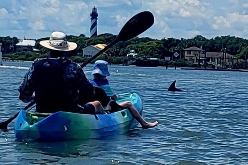 Salt Run Dolphin Kayak Tour