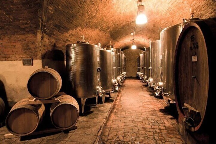 Pietrafitta Wine Experience - San Gimignano