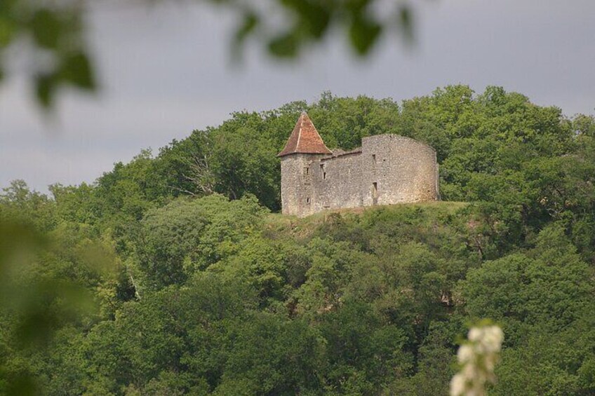 Guided Tour with Tasting and Blending Workshop