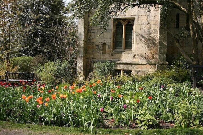 Tulips outside St Mary's Lodge, York Museum Gardens.
