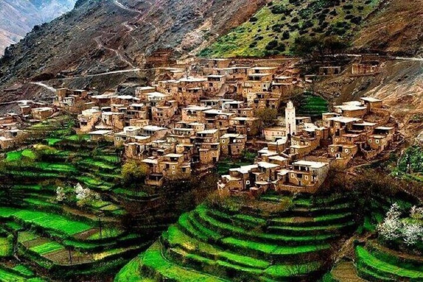 Private Atlas Mountains Day Tour from Marrakech