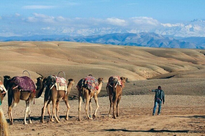 Private Atlas Mountains Day Tour from Marrakech