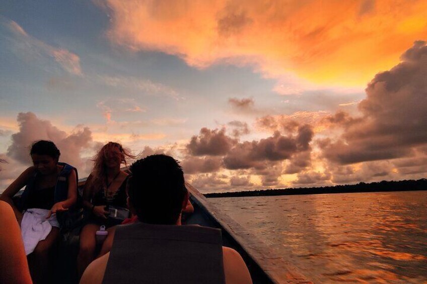 Whale Watching 3 Days in Bahía Málaga, Valle del Cauca Colombia