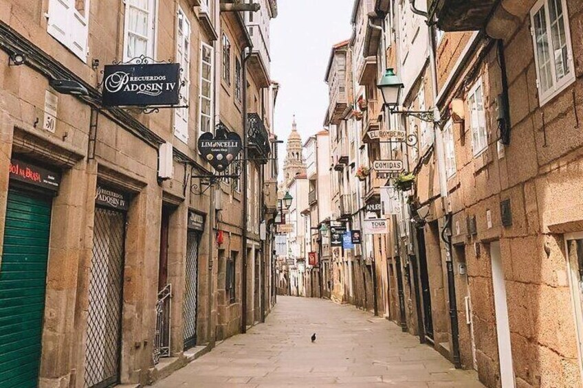 Excursion to Santiago de Compostela for cruises from Coruña