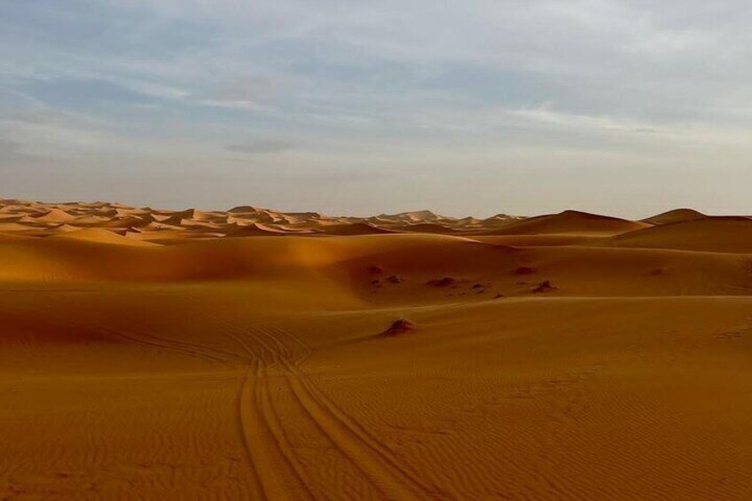 Overnight Camel trek in Merzouga dunes