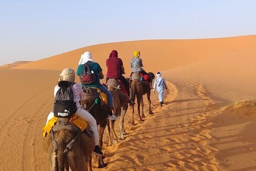 Overnight Camel trek in Merzouga dunes