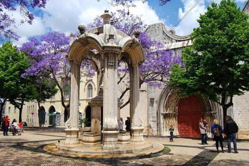 Private guided electric tuk tuk tour of historic Lisbon in 2 hours