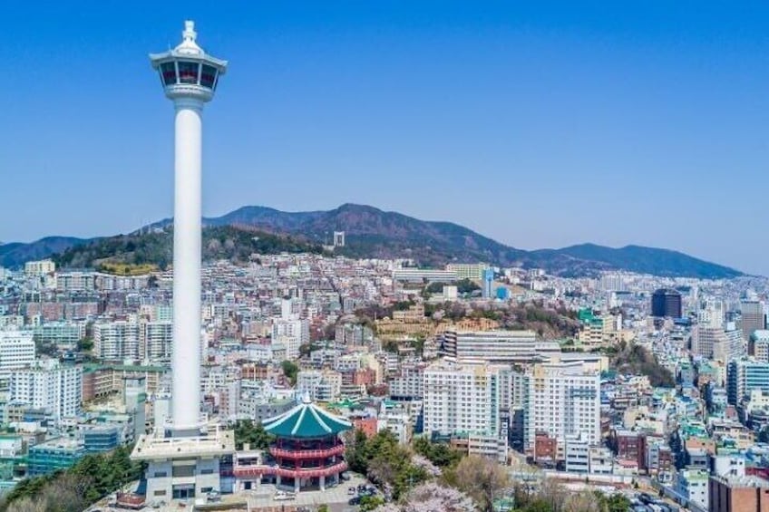 2-Day Customized Tour: Busan and Gyeongju Highlights