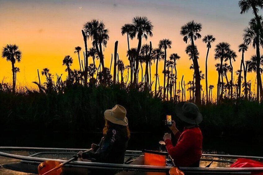 Weeki Sunset