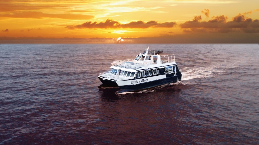 Lahaina Sunset Dinner Cruise