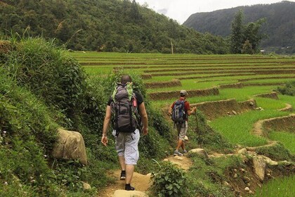 Sapa :2 - Day Homestay trekking Tour