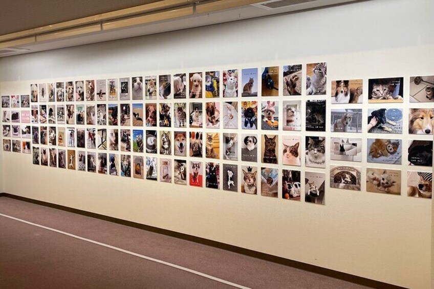 2Fネコ・ワンちゃん写真展