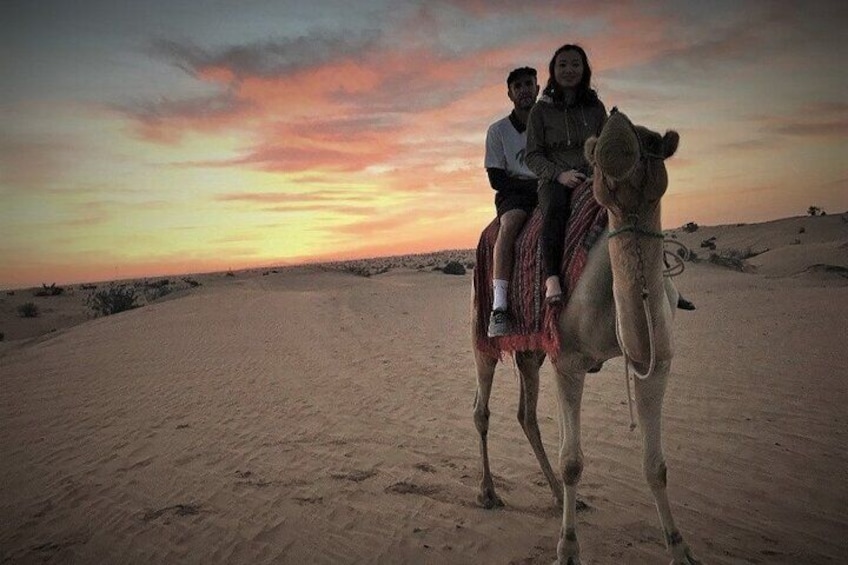 5 Hrs Desert Safari, Camel Ride,Sand Boarding, Inland Sea Visit.