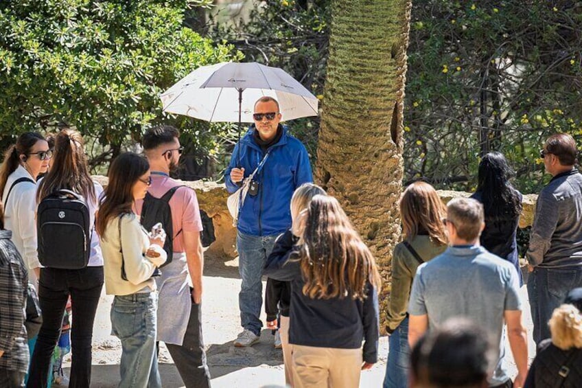 Guided Tour
