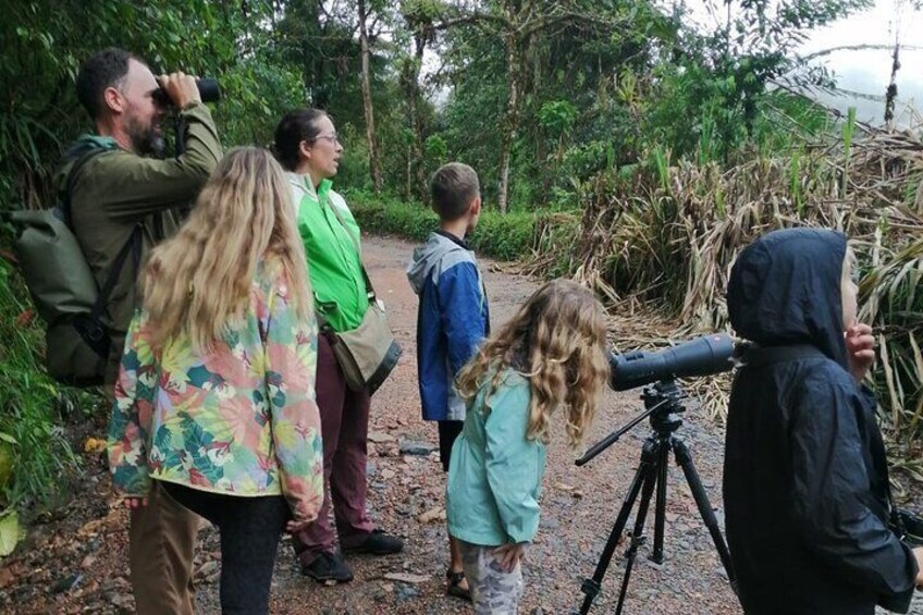 Guided Birding Photography Experience