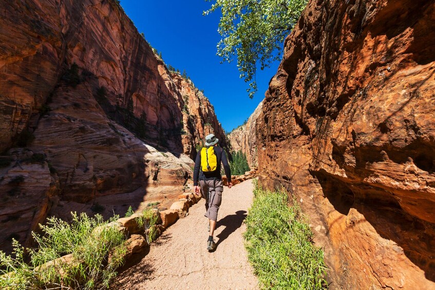 Zion & Bryce Self-Guided Driving Tours Bundle