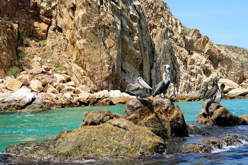 Los Cabos Land's End Experience