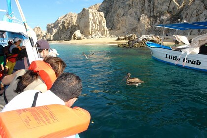 Los Cabos Land's End Experience