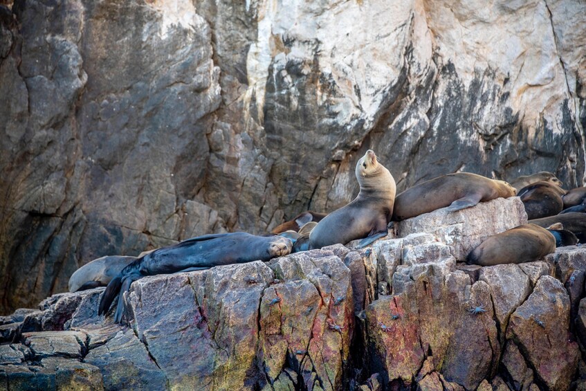 Los Cabos Land's End Experience