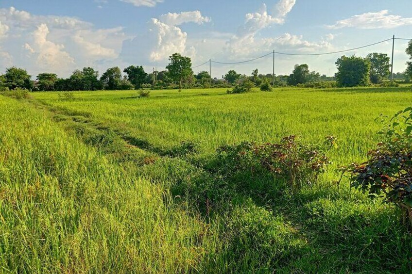 Full-Day Private Tour of Battambang with Pick Up