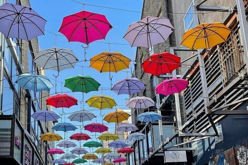 Dublin Private Walking Tour