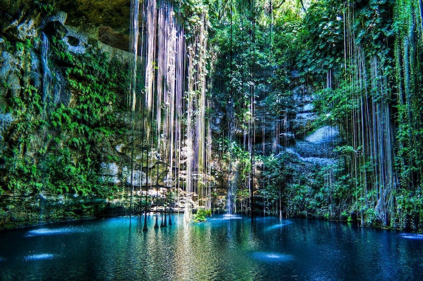 Inside a Mexican cenote