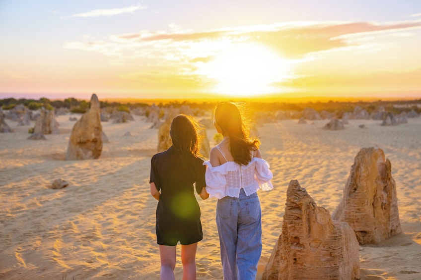 Pinnacles Sunset Dinner and Stargazing Day Tour a Small Group Experience