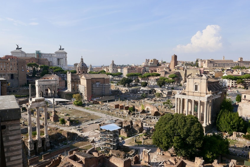 Roman Forum, Palatine Hill & (optional) Circus Maximus Tour