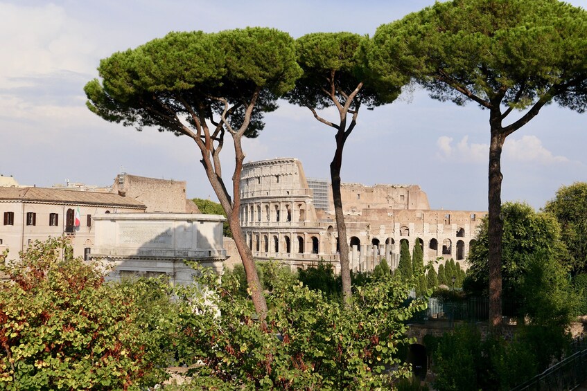 Roman Forum, Palatine Hill & (optional) Circus Maximus Tour