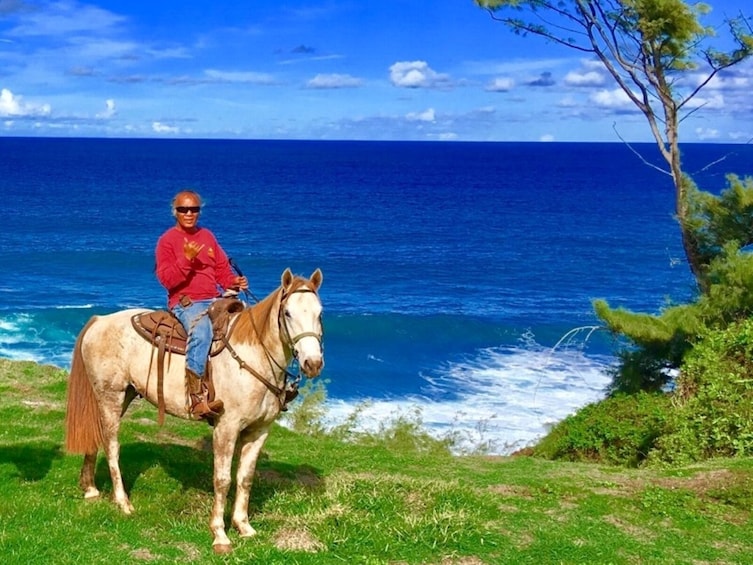 Waterfall and Ocean Horseback Ride