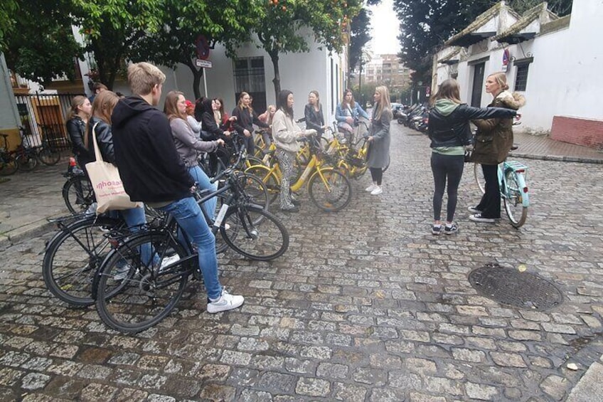 Guided Electric Bicycle Tour of Seville