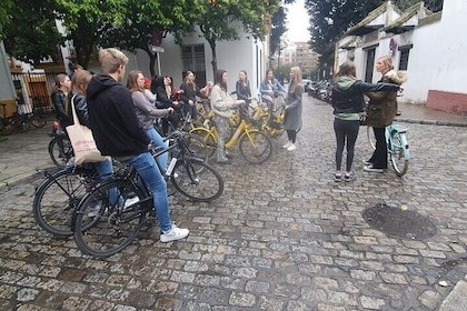Guidet elcykeltur i Sevilla