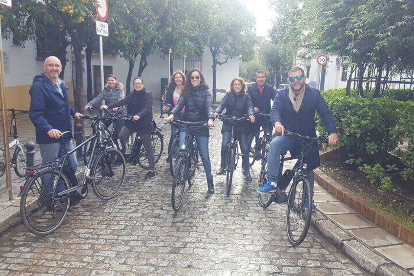 Guided Electric Bicycle Tour of Seville