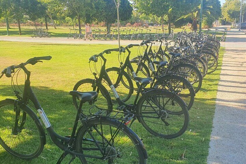 Guided Electric Bicycle Tour of Seville
