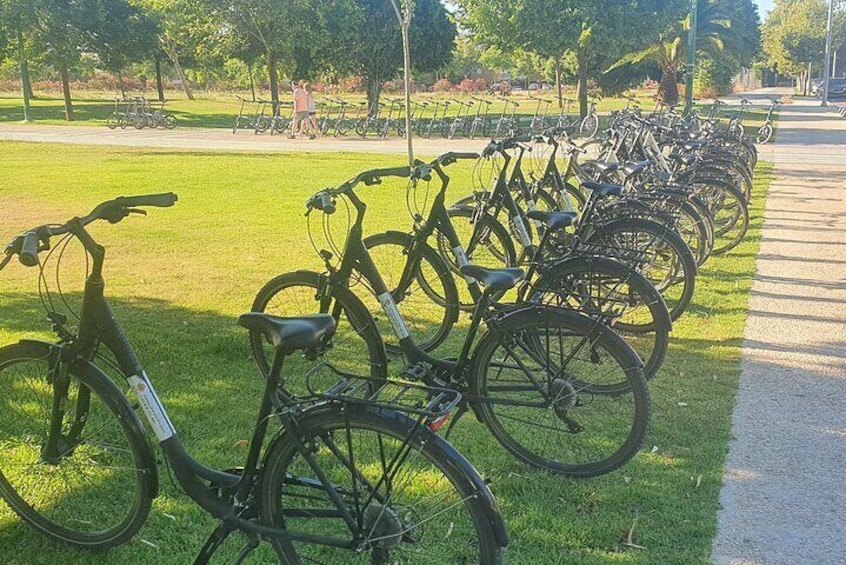 Guided Electric Bicycle Tour of Seville