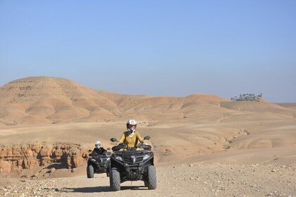 Quad ride + Camel + dinner with show departure from Marrakech