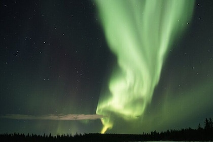 Aurora Hunting Photo Tour vanuit Rovaniemi met pick-up