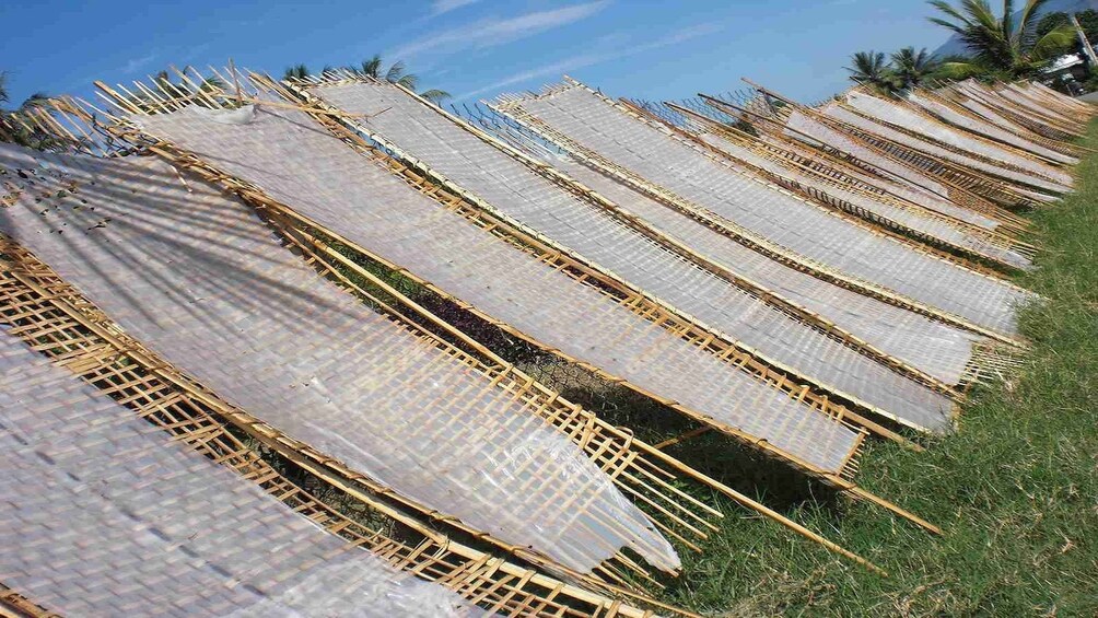 Small thatched boats lined up in Vietnam