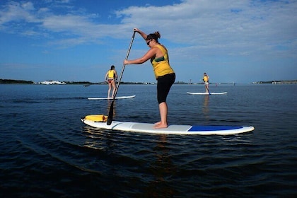 Fort Walton Beach Paddleboard Eco Tour and Charter