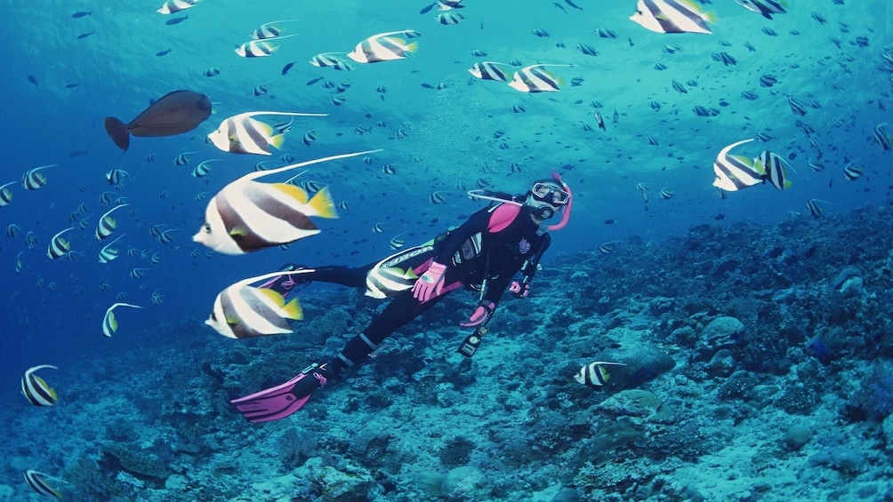 Woman snorkeling with colorful fish in the Nha Trang Islands