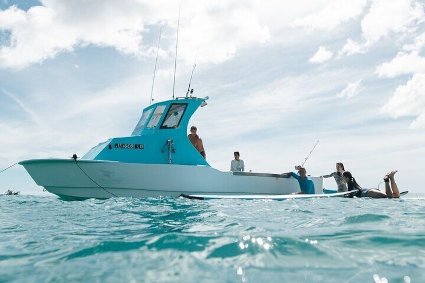 Kayak, Snorkel, and Surf with Turtles in Honolulu