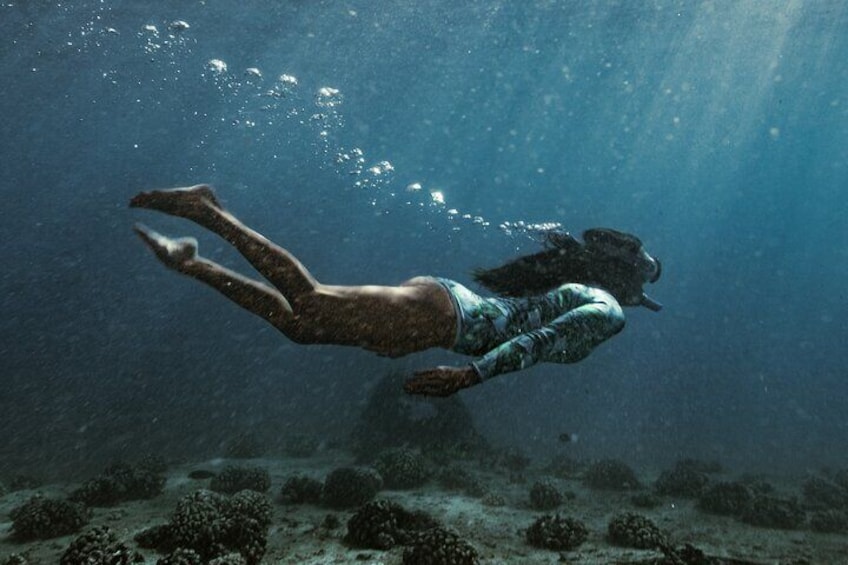 Kayak, Snorkel, and Surf with Turtles in Honolulu