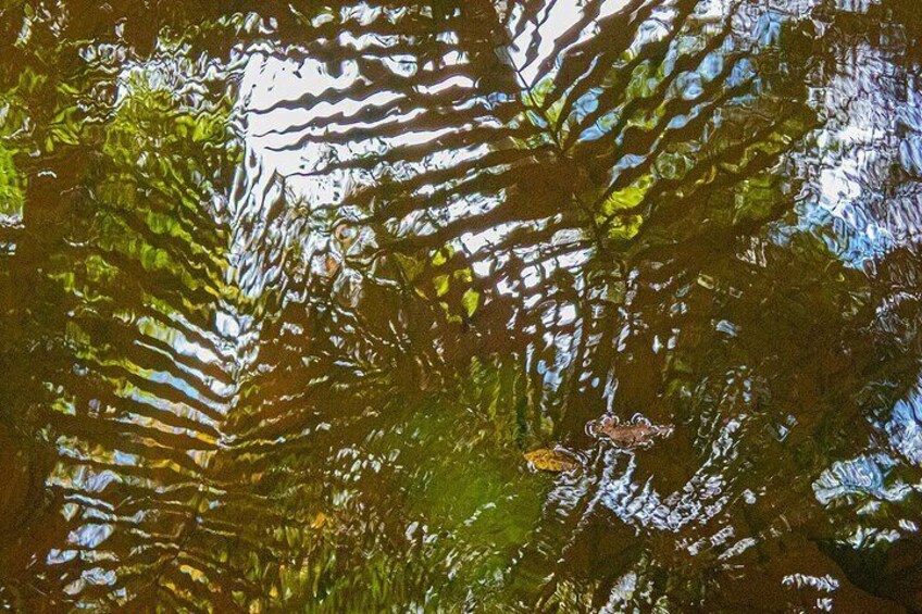Reflection